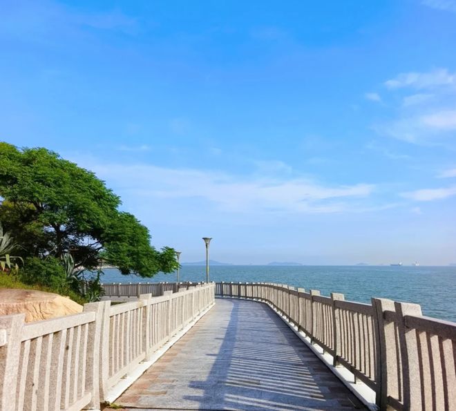2026厦门综合实力最强旅行社TOP10